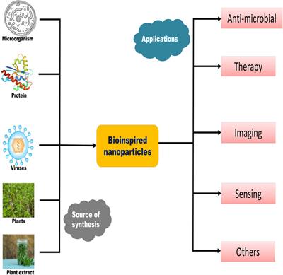 Recent advancement of bioinspired nanomaterials and their applications: A review